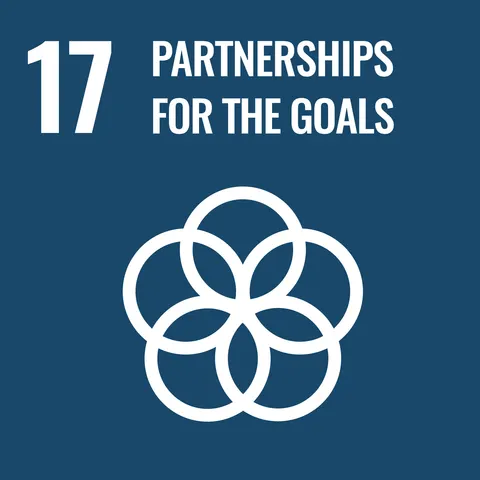 SDG 17: 促进目标实现的伙伴关系
